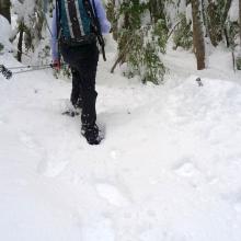 Off trail on Mud Creek Ridge