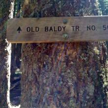 Old Baldy Trail #502