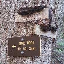 Dome Rock Trail 3381