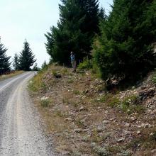 Abandoned road heading upwards to right