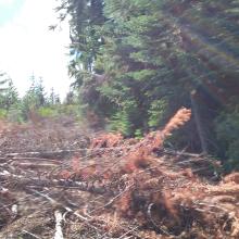 Abandoned road to summit