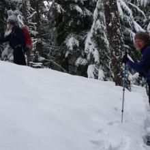 One of the steeper sections...