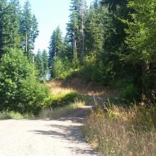 Take the right fork to the north