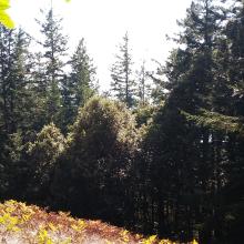 View from the summit