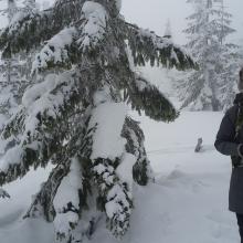 Chilly K7IMA in the AZ