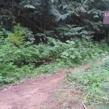 Trailhead sign for Little Huckleberry