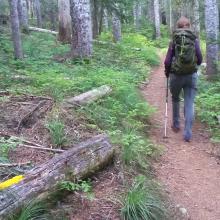 A level bit of trail on the way to Little Huckleberry