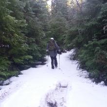 Snowy Road to Trout Creek Hill Summit