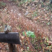 Monte Cristo trail and sign