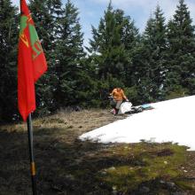 SOTA Flag on the summit