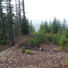 Roland in the summit clearing