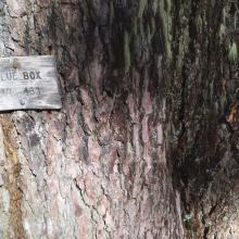 Blue Box Trail Sign