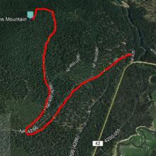 Browns Mountain Path