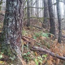 Bunker Hill Trail Sign - up high
