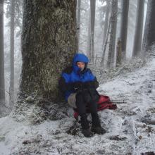 Dog Mountain operating position