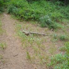 Here is the trail junction that leads to Barlow Ridge