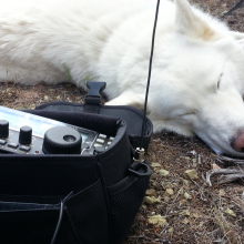 Glacier hogging the logbook on Burma Road High Point