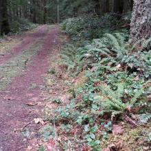 The correct Road 2000