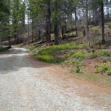 Turn to NF-090 - this road is rough in places