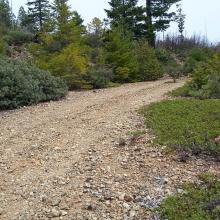 NF-850 - recommended to park here