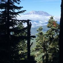 Sawtooth Mt. St. Helens