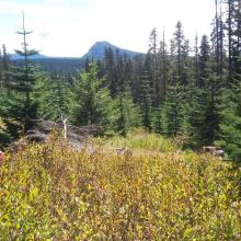 Sawtooth Mountian from West Twin Butte