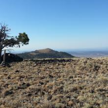 (Tree is gone) Summit of Pine Mountain with Pine Benchmark in the background