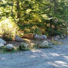 Trail vs. Road for Wildcat