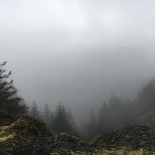 Not Much of a View Today