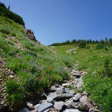 Exit gully and head up and right towards low spot in ridge, just below Point 6,714.