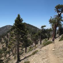 Traverse from Throop Peak to Mount Baden-Powell