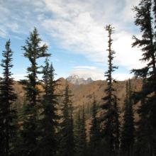 First view of Mount Stuart from trail