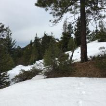 Old Pass Hill summit from false summit 