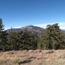 Mount Baden Powell, 9,400 feet, activated by K7MAS 05/26/2014 