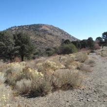 Dried out landscape of mid Fall at edge of high