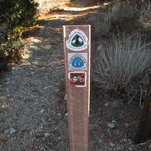 Pacific Crest Trail to Mount Williamson