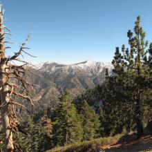 Throop Peak & Mount Baden Powell in the distance.  Both over 9,000 feet elevation, and with substantial new snow & ice.