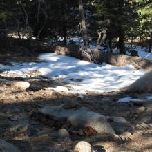 Very little snow remaining on 02/19/2015