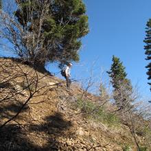 More cross country terraine