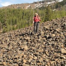 Section of unpleasant Talus