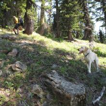 KG7EJT and Dexter the SOTA Dog on XC terraine