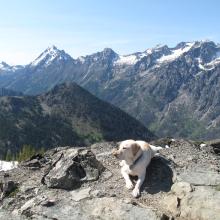 Summit view from Navaho Peak