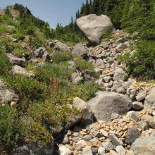 Obvious gully, with giant boulder, leading to ridge crest on Goat Island Mounain, below Point 6,714.
