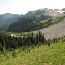 Looking back at Fryingpan Creek basin, with Summerland above.