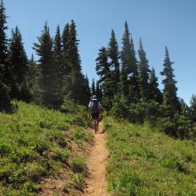 Typical upper slopes terrain on Norse Peak trail