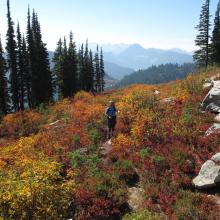 Up and Over false summit 1