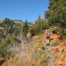 Fall colors en route to Thorp Mountain.