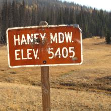 Must be hunting season...