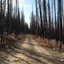 OMG! What the hell happened here since our last visit in 2012?