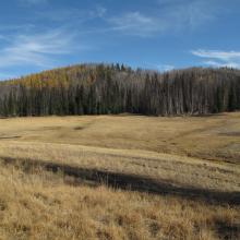 Afternoon sun on Haney Meadow, Mount Lillian South upper right.